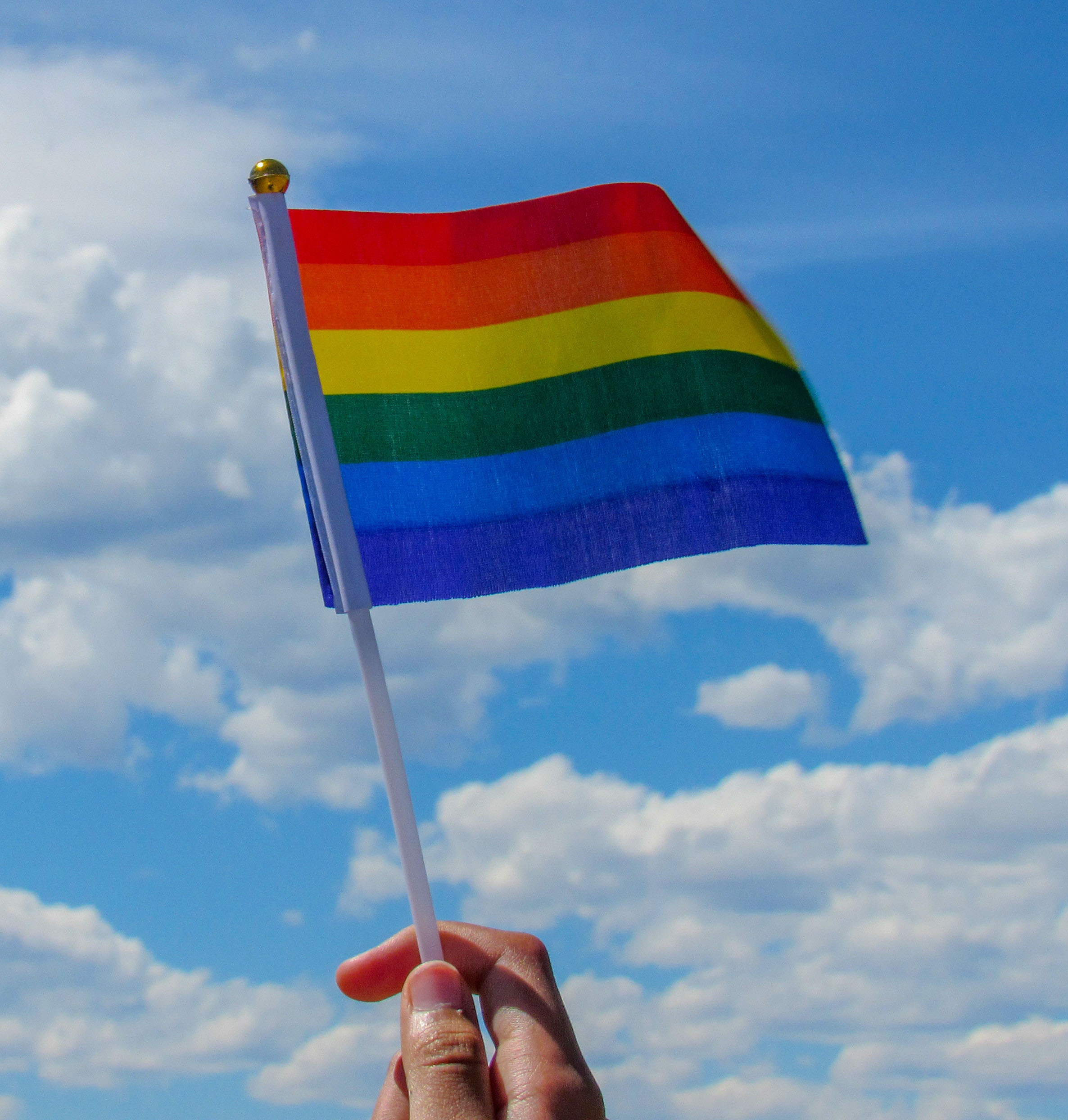 RAINBOW FLAG